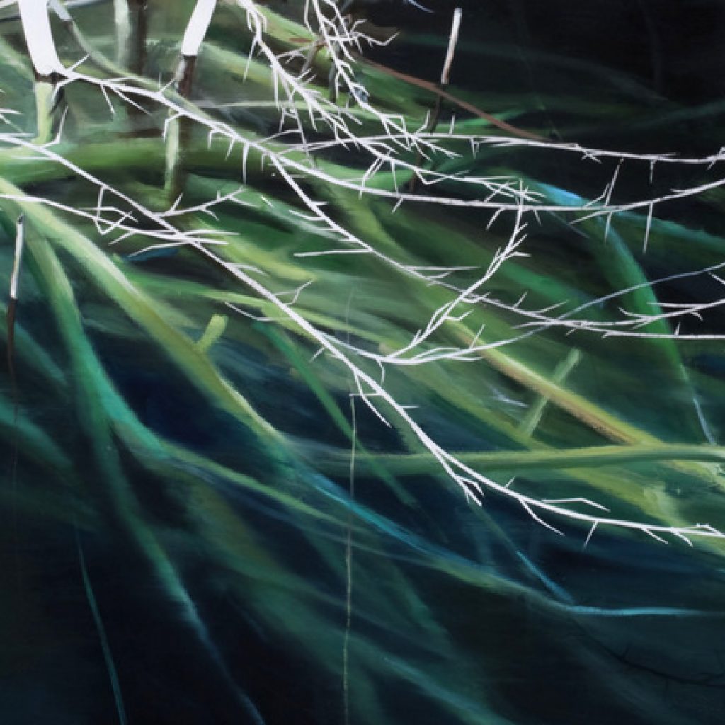 19.04. – 10.05.2012. //  Dirk Haupt