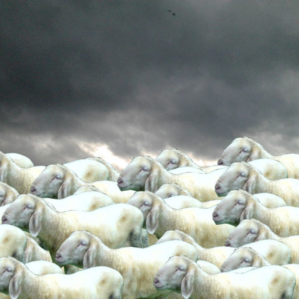 19.01. –  26.01.2012. // Sandro Placenti – Riot im Kopf