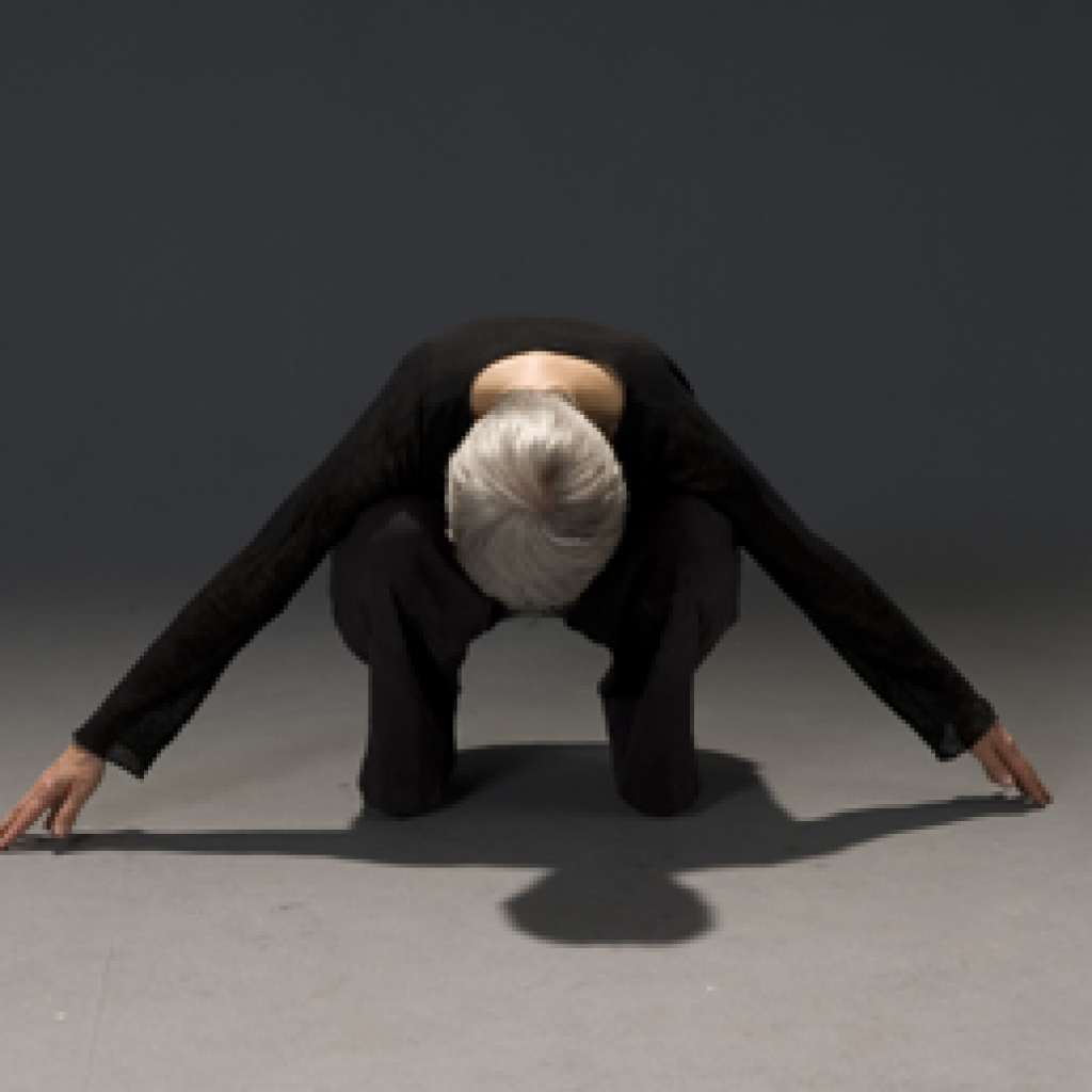 08.11. – 09.11.2011 // Claudia von Knorr