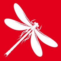 Libelle im Provisorium Nürtingen Libelle im Provisorium Nürtingen